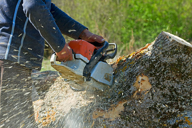 Best Lawn Pest Prevention  in Frankfort Square, IL
